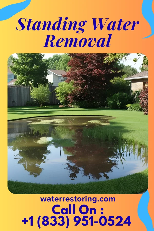 Standing Water Removal in De Pue, IL
